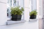 greenville pflanzgefäß lang 50cm living schwarz